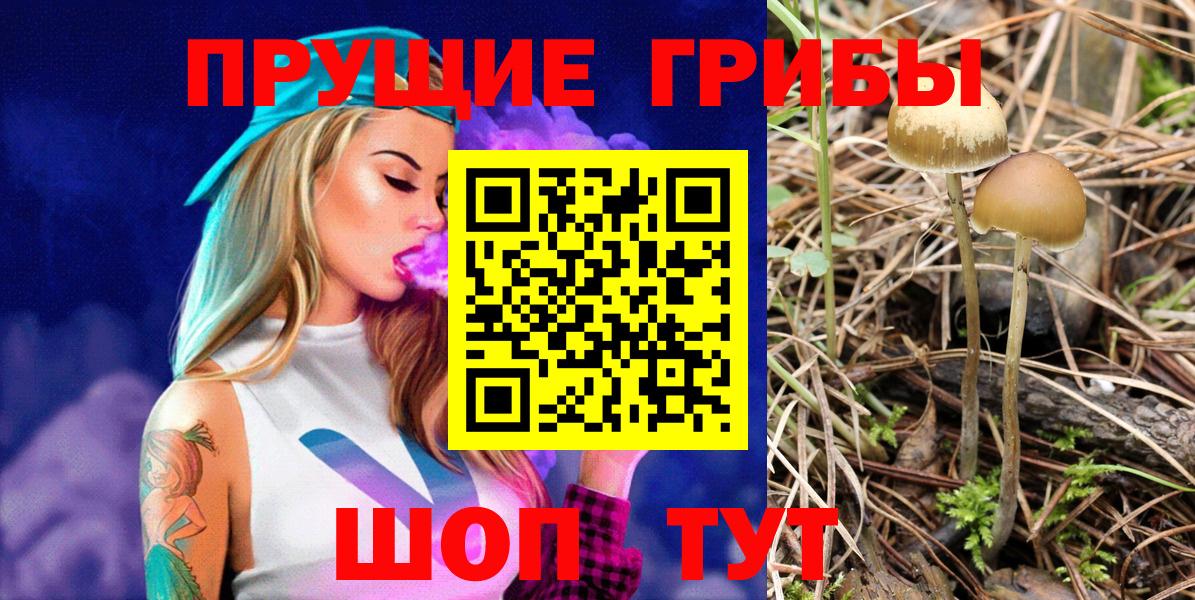 Красный Сулин  Псилоцибиновые грибы мухоморы  как найти закладки  Псилоцибиновые грибы мицелий  Вход с VPN 